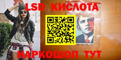 ПСИЛОЦИБИНОВЫЕ ГРИБЫ Нальчик